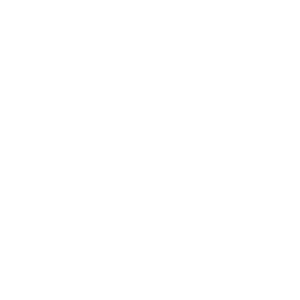 21 1